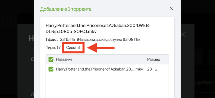 Торрент на компьютер. Чем больше сидов, тем больше будет скорость скачивания. Торрент на компьютер. Чем больше сидов, тем больше будет скорость скачивания. Фото.