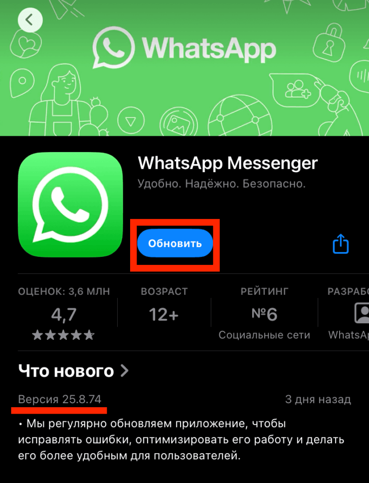 Как обновить Ватсап на Айфоне. Обновить Ватсап на Айфоне можно одной кнопкой. Фото.