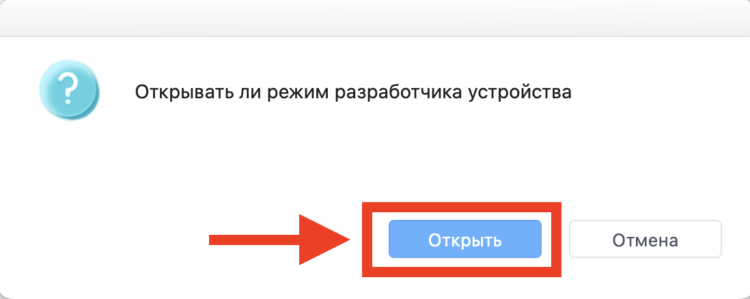 Что делать, если на iPhone нет режима разработчика. Подтвердите действие. Фото.