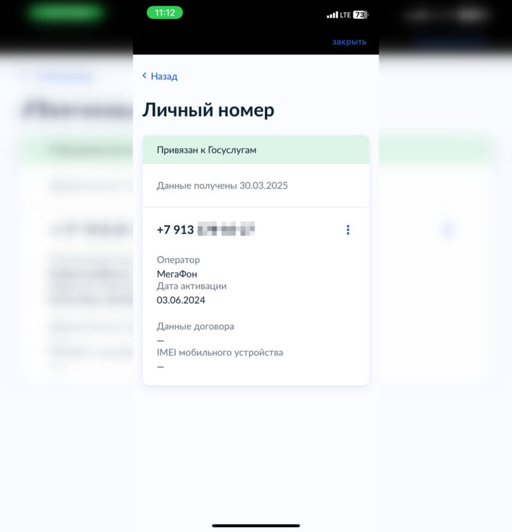 Как заблокировать Сим-карту. Возле некоторых данных стоит прочерк. Фото.