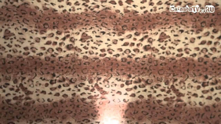 Прикольные фоны для видеозвонков и как ими пользоваться на компьютерах Apple с macOS Sequoia.. Фон для видеозвонка.. Фото.