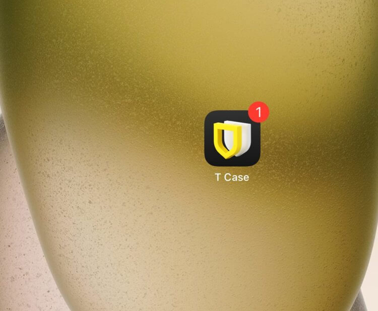 В App Store вышло новое приложение Т-Банка. Скачай Freelance Case на iPhone, пока не удалили. Фото.