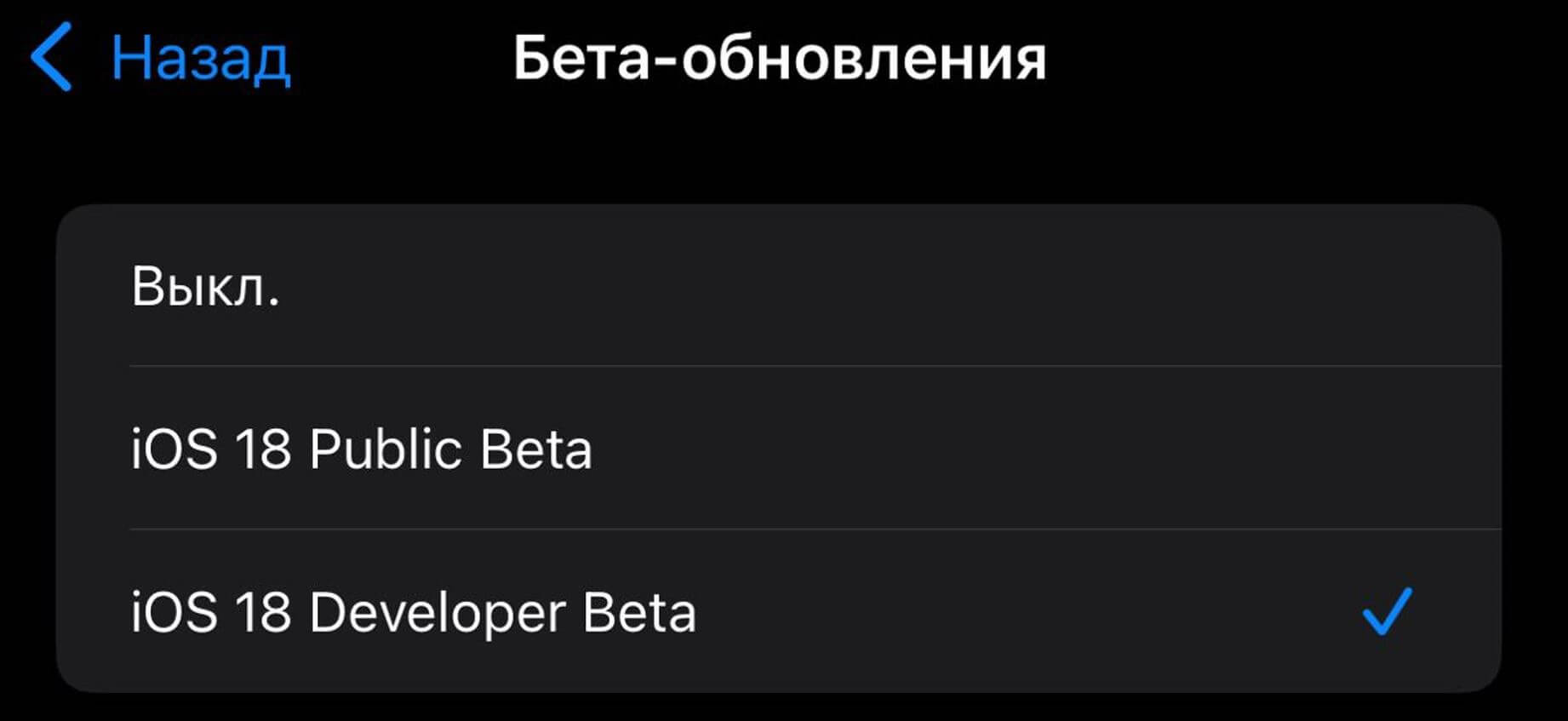Какие бывают бета-версии iOS на iPhone. У Apple есть несколько видов бета-версий iOS. Какие бывают бета-версии iOS на iPhone. У Apple есть несколько видов бета-версий iOS. Фото.
