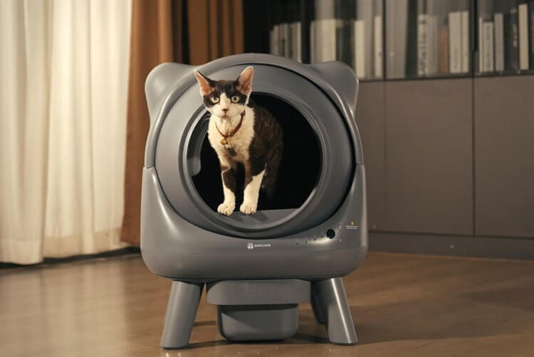 AmiCura Cura X1 – умный туалет с самоочисткой для кошек, которые хотят жить в будущем прямо сейчас. AmiCura Cura X1 – умный туалет с самоочисткой для кошек, которые хотят жить в будущем прямо сейчас. Фото.