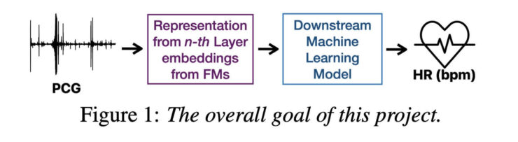 Apple показала, как ИИ может определять пульс по звукам сердца с помощью AirPods. Фонокардиограмму прогоняли через ИИ и на выходе получали частоту сердечных сокращений. Изображение: 9to5mac.com. Apple показала, как ИИ может определять пульс по звукам сердца с помощью AirPods. Фонокардиограмму прогоняли через ИИ и на выходе получали частоту сердечных сокращений. Изображение: 9to5mac.com. Фото.