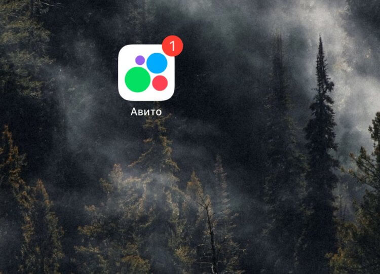 Приложение Авито снова удалили из App Store. Как теперь скачать его на iPhone. Фото.