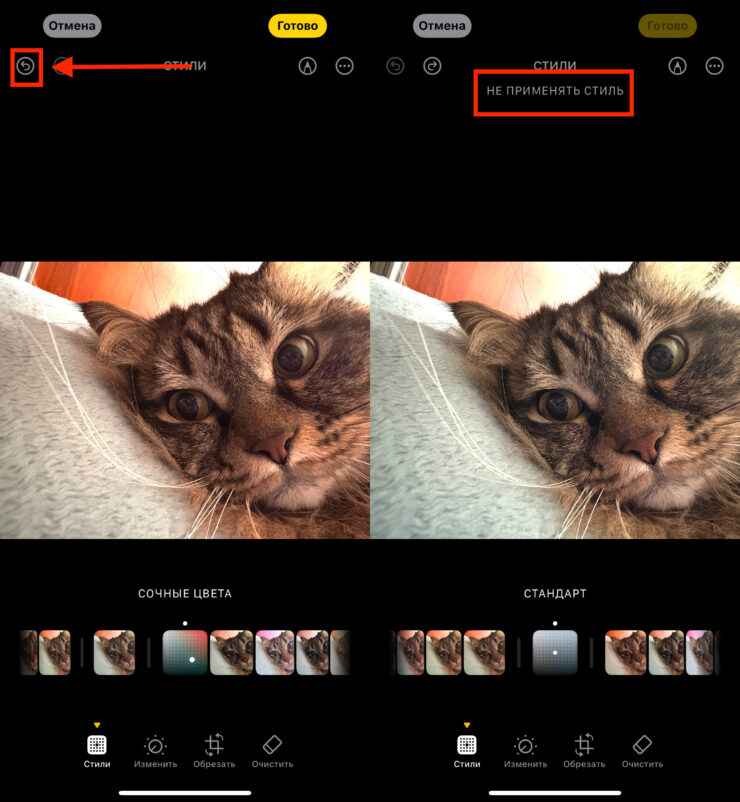 Отменить редактирование можно прямо в процессе. Фото.
