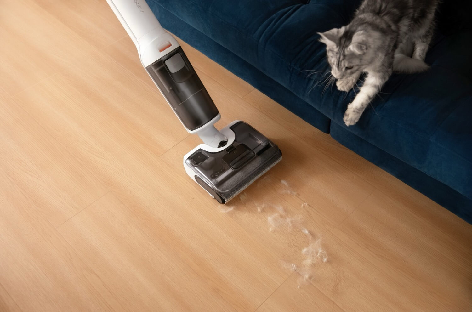 Какой моющий пылесос лучше. Roborock F25 RT справится с любыми загрязнениями. Изображение: electronic4you.at. Фото.