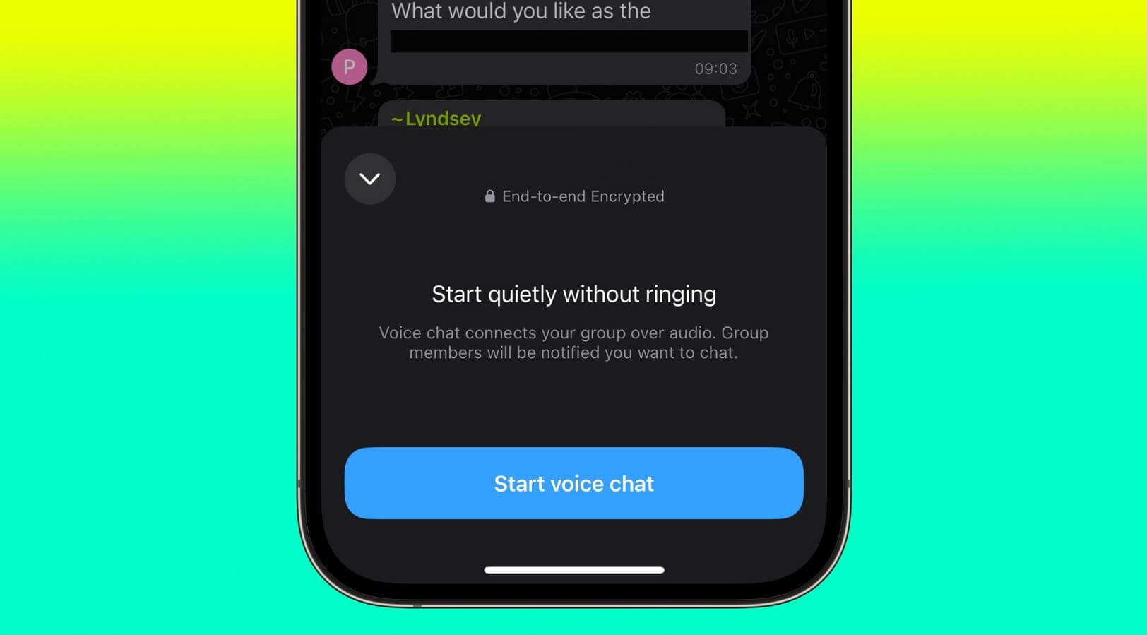 Как создать аудиочат в WhatsApp. Зачем нужны аудиочаты в WhatsApp и как ими пользоваться? Фото: macrumours.com. Фото.