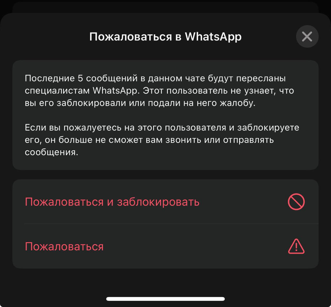 За что могут заблокировать аккаунт в WhatsApp. Словить блокировку в Ватсапе можно, если начали надоедать человеку рассылками. За что могут заблокировать аккаунт в WhatsApp. Словить блокировку в Ватсапе можно, если начали надоедать человеку рассылками. Фото.