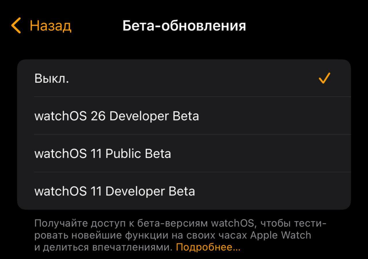 Вышла первая бета-версия watchOS 26 для Apple Watch. Как обновить смарт-часы прямо сейчас. Обновление watchOS 26 уже доступно в бета-версии. Вышла первая бета-версия watchOS 26 для Apple Watch. Как обновить смарт-часы прямо сейчас. Обновление watchOS 26 уже доступно в бета-версии. Фото.