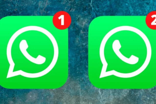 В WhatsApp наконец можно будет сделать два аккаунта на одном iPhone. Фото.