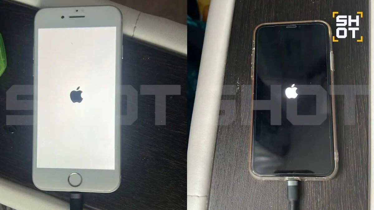 Проблема наблюдается только на старых устройствах, работающих на iOS 16. Изображение: SHOT. Фото.