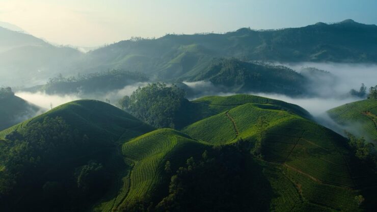 Apple делает шикарные обои для своих компьютеров. Фото.