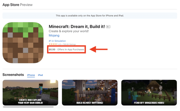 Как установить Minecraft на iPhone в России. Minecraft платный, и это важно знать. Как установить Minecraft на iPhone в России. Minecraft платный, и это важно знать. Фото.