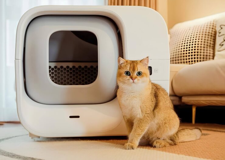 Котам тоже нравится, а это главное. Фото.