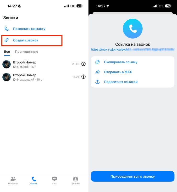 Можно создать звонок по ссылке. Фото.