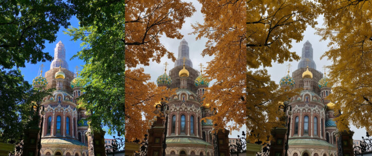 Оригинал слева, по центру Nano Banana, а справа Qwen. Фото.