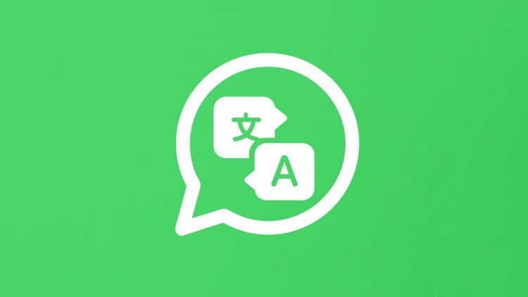 WhatsApp получил встроенный переводчик сообщений. Рассказываем, как его включить. Фото.