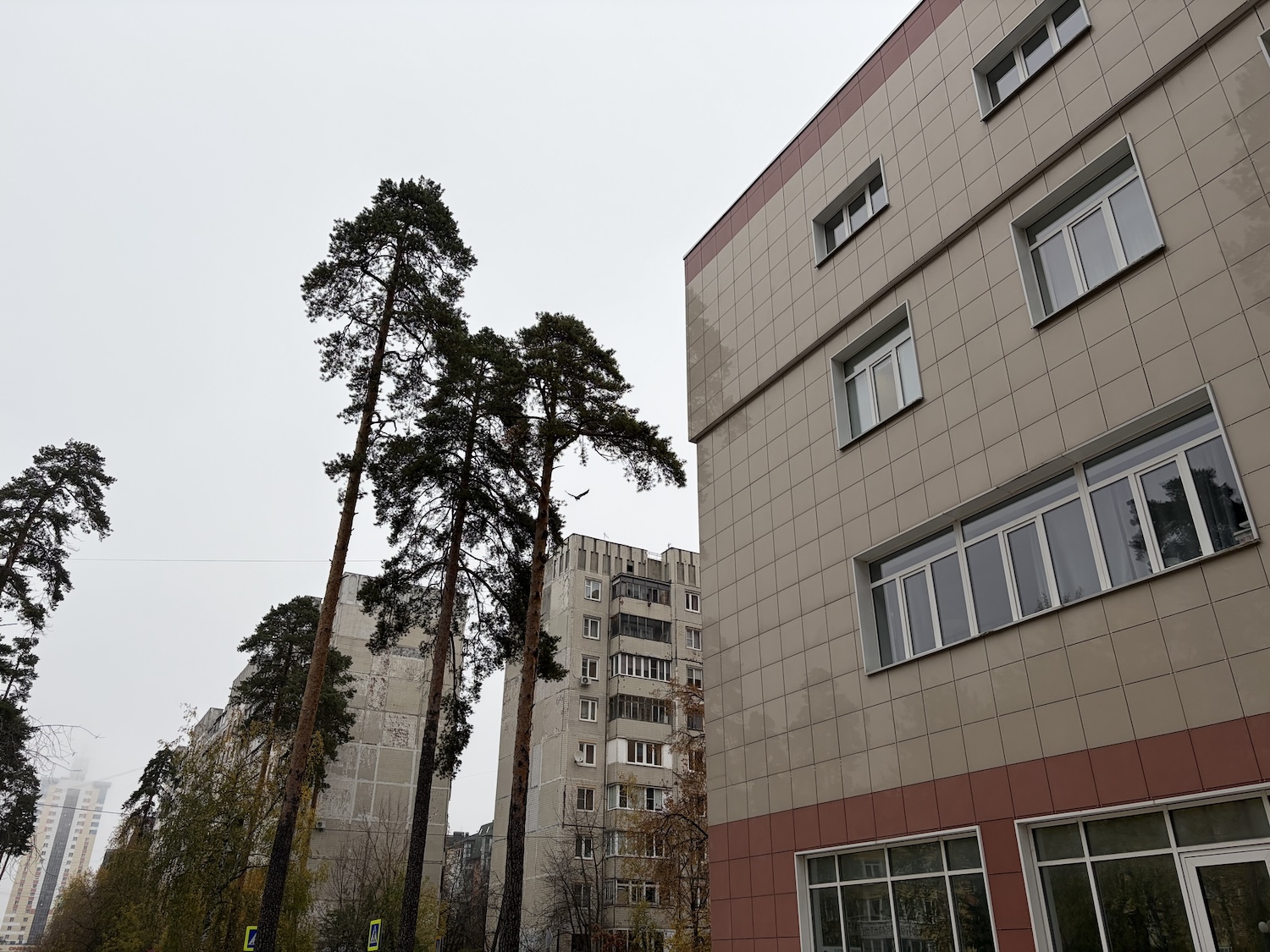 Стоит ли покупать iPhone Air. Личный опыт, мнение и особенности использования. Как снимает iPhone Air. Стоит ли покупать iPhone Air. Личный опыт, мнение и особенности использования. Как снимает iPhone Air. Фото.