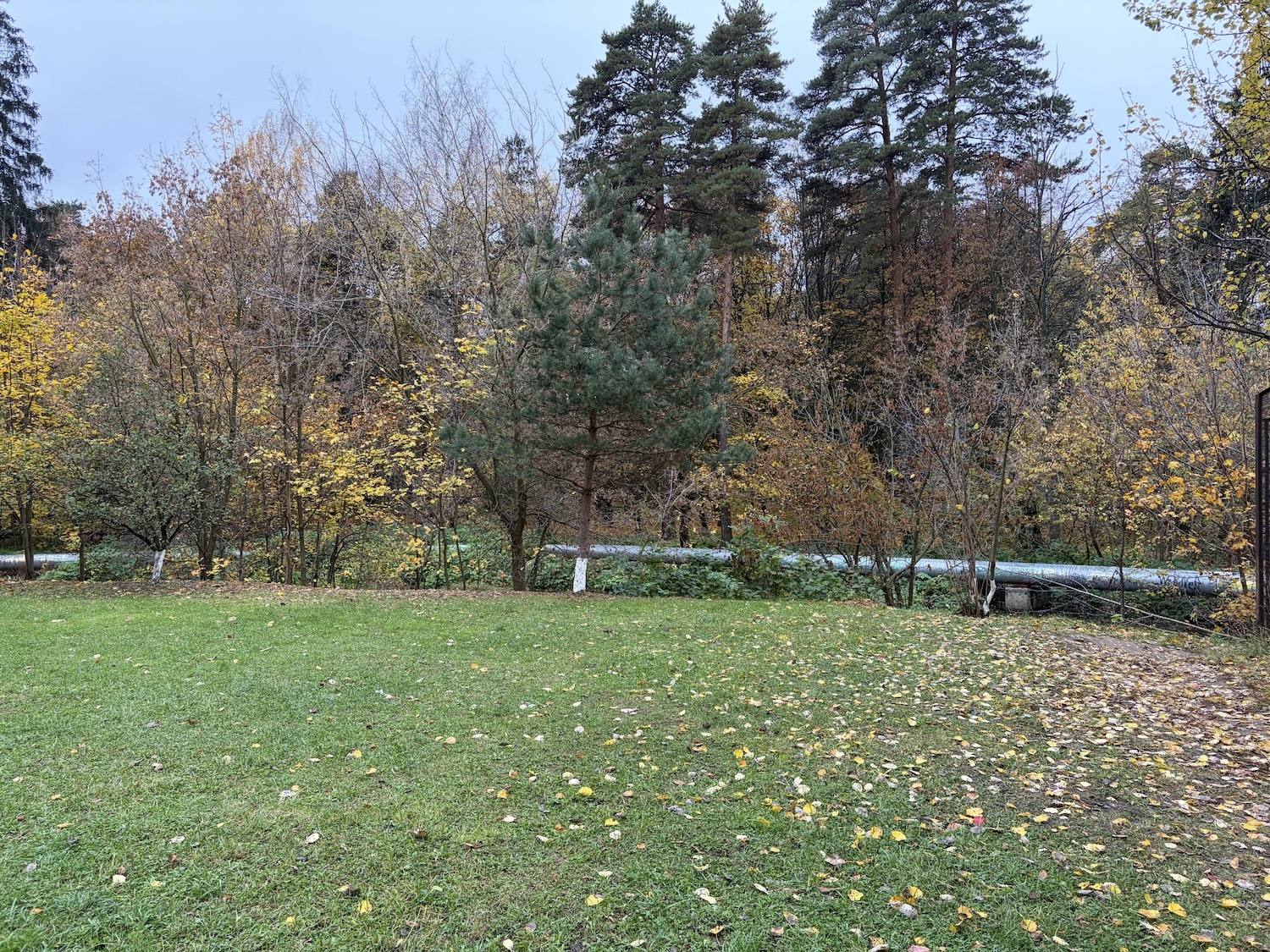 Как снимает iPhone Air. 1x. Как снимает iPhone Air. 1x. Фото.