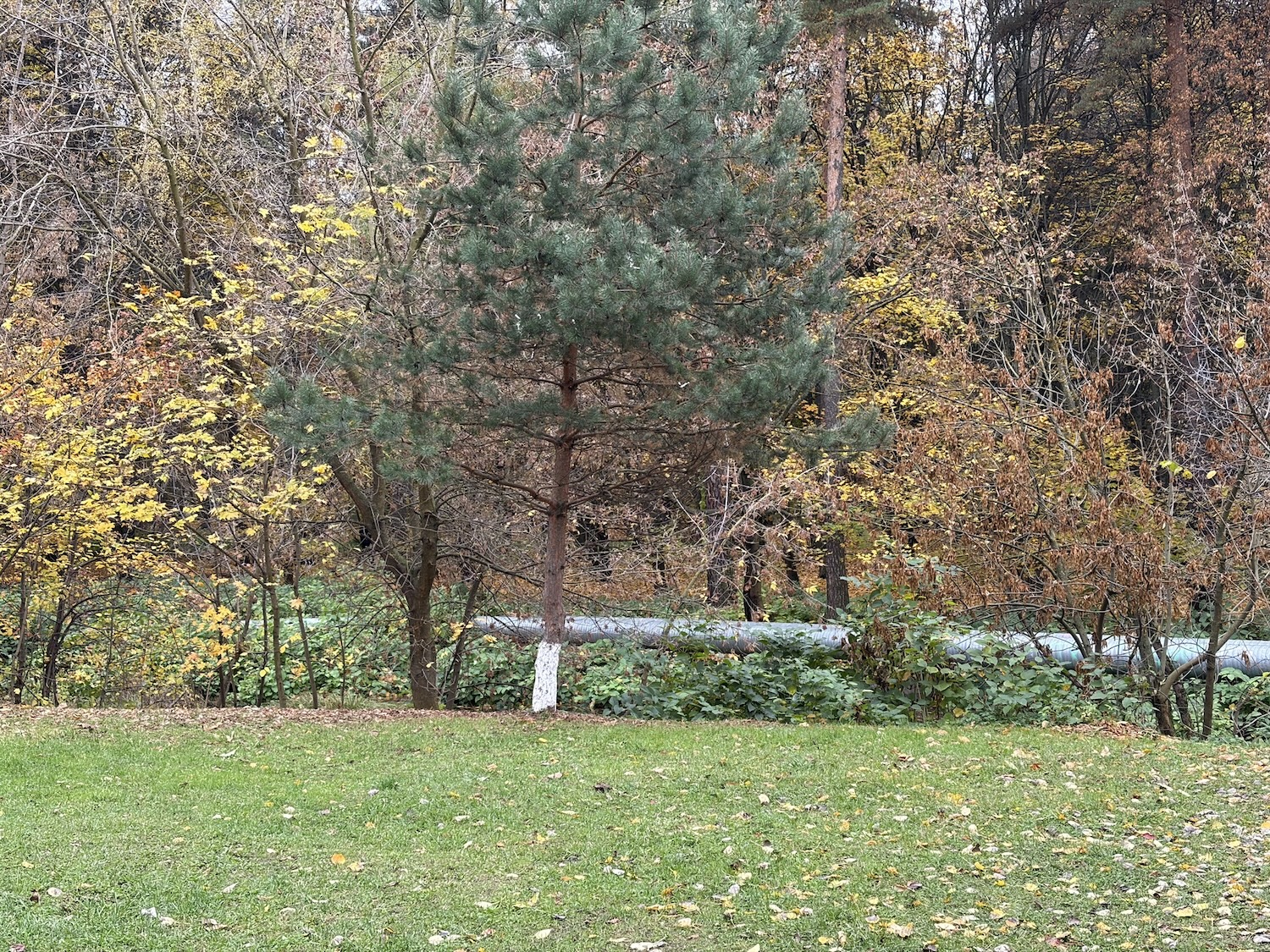 Как снимает iPhone Air. 2x. Как снимает iPhone Air. 2x. Фото.