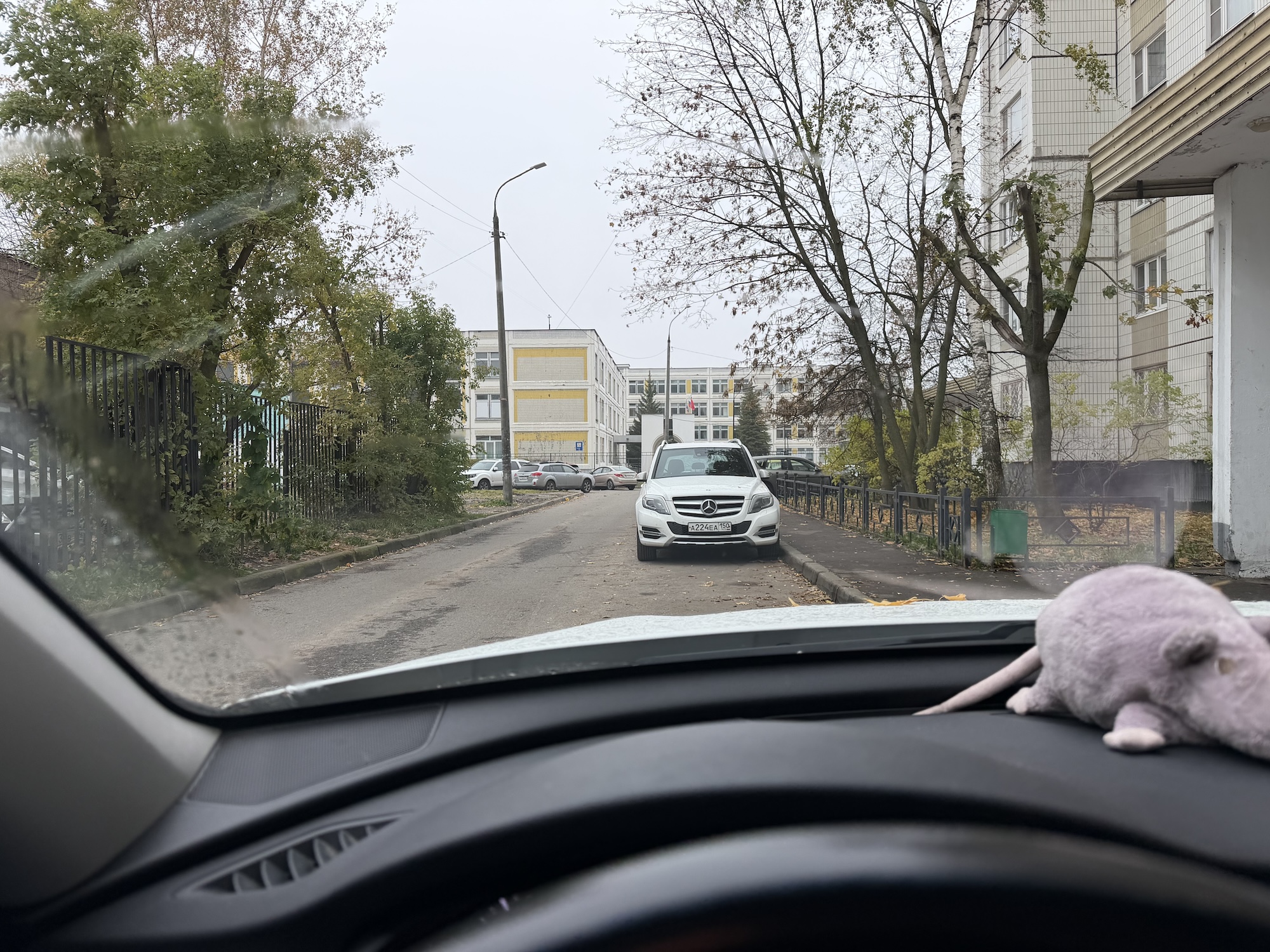 Как снимает iPhone 17 Pro Max. 1х. Как снимает iPhone 17 Pro Max. 1х. Фото.
