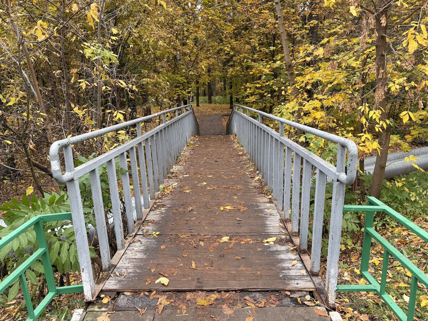 Стоит ли покупать iPhone Air. Личный опыт, мнение и особенности использования. Как снимает iPhone Air. Стоит ли покупать iPhone Air. Личный опыт, мнение и особенности использования. Как снимает iPhone Air. Фото.