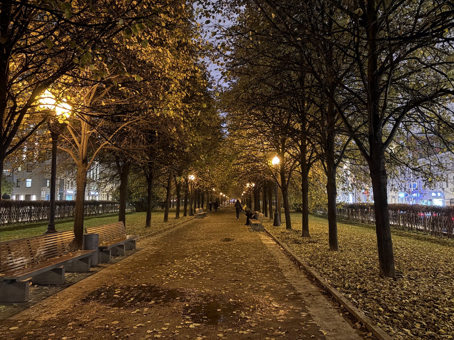 Стоит ли покупать iPhone Air. Личный опыт, мнение и особенности использования. Как снимает iPhone Air. Стоит ли покупать iPhone Air. Личный опыт, мнение и особенности использования. Как снимает iPhone Air. Фото.