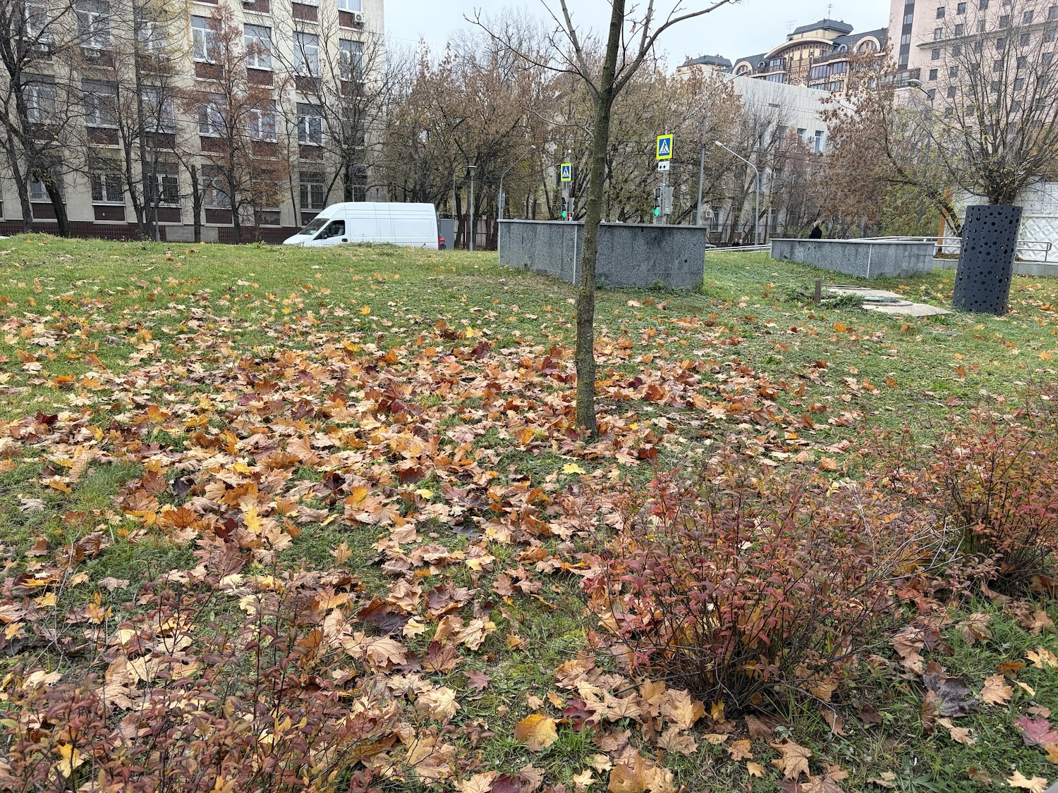 Стоит ли покупать iPhone Air. Личный опыт, мнение и особенности использования. Как снимает iPhone Air. Стоит ли покупать iPhone Air. Личный опыт, мнение и особенности использования. Как снимает iPhone Air. Фото.