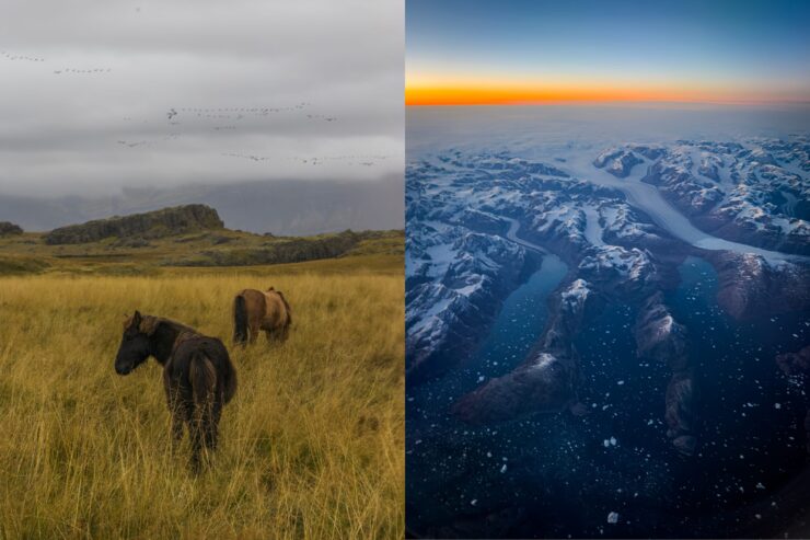 Зачем нужен ProRAW в айфоне. Зато в RAW снимки получаются просто загляденье. Изображение: lux.camera. Фото.