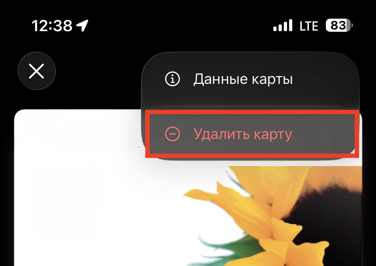 Платежный стикер на айфон. Удалите из приложения все ненужные карты. Платежный стикер на айфон. Удалите из приложения все ненужные карты. Фото.