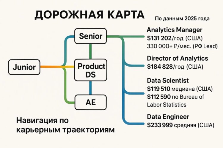 Карьерный путь и перспективы роста зарплаты аналитика. Куда расти аналитику данных. Фото.