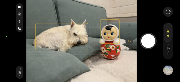 Что делает искусственный интеллект в камере iPhone. Распознанные объекты выделяются желтыми рамками. Что делает искусственный интеллект в камере iPhone. Распознанные объекты выделяются желтыми рамками. Фото.