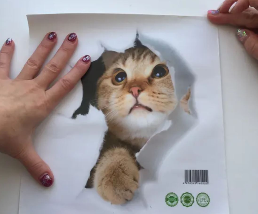 3D-наклейка для стен и унитаза. Наклейку с котом можно «присобачить» куда душе угодно. 3D-наклейка для стен и унитаза. Наклейку с котом можно «присобачить» куда душе угодно. Фото.