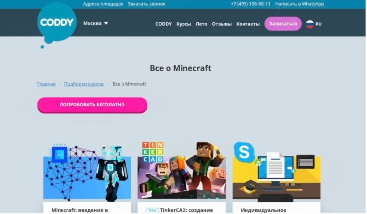 Coddy. Это международная школа с соответствующим признанием. Coddy. Это международная школа с соответствующим признанием. Фото.