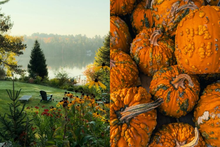 Как iPhone 17 Pro изменил мобильную фотографию. Примеры впечатляющих снимков на камеры флагмана. Кажется, что эти фотографии рисовал художник. Но нет — это все еще айфон. Изображение: 9to5mac.com. Как iPhone 17 Pro изменил мобильную фотографию. Примеры впечатляющих снимков на камеры флагмана. Кажется, что эти фотографии рисовал художник. Но нет — это все еще айфон. Изображение: 9to5mac.com. Фото.