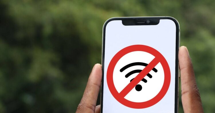 В Госдуме рассказали, могут ли отключить Россию от мирового интернета. Фото.