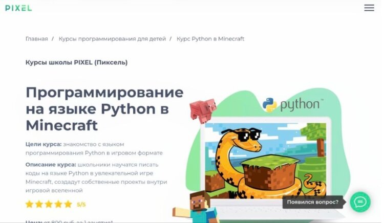 Пиксель. Pixel — отличная школа программирования для детей. Фото.