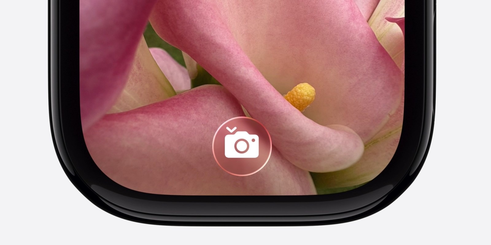 Какие циферблаты появились в watchOS 26 и как изменились привычные вотчфейсы на Apple Watch. Подсказки помогут более эффективно использовать Apple Watch. Изображение: 9to5mac.com. Какие циферблаты появились в watchOS 26 и как изменились привычные вотчфейсы на Apple Watch. Подсказки помогут более эффективно использовать Apple Watch. Изображение: 9to5mac.com. Фото.