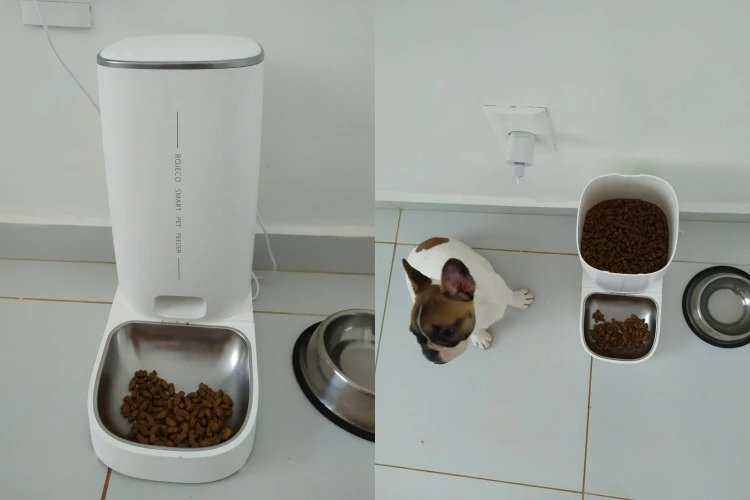 Автоматическая кормушка для животных. Кормление происходит строго по графику. Фото.