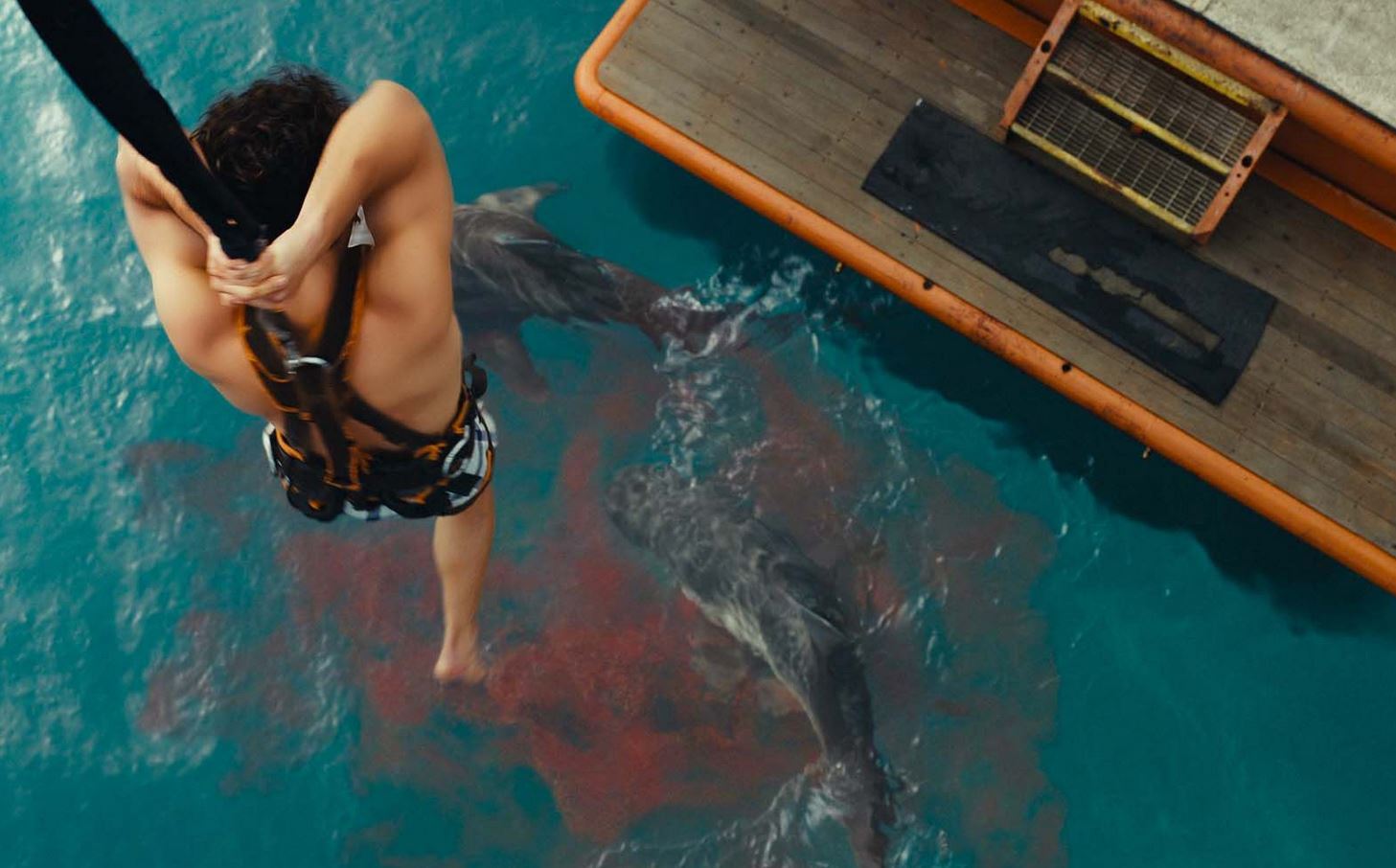 Хищные твари. Отличный ужас, в котором акулы — не самое главное. Фото: 2x2tv.ru. Хищные твари. Отличный ужас, в котором акулы — не самое главное. Фото: 2x2tv.ru. Фото.