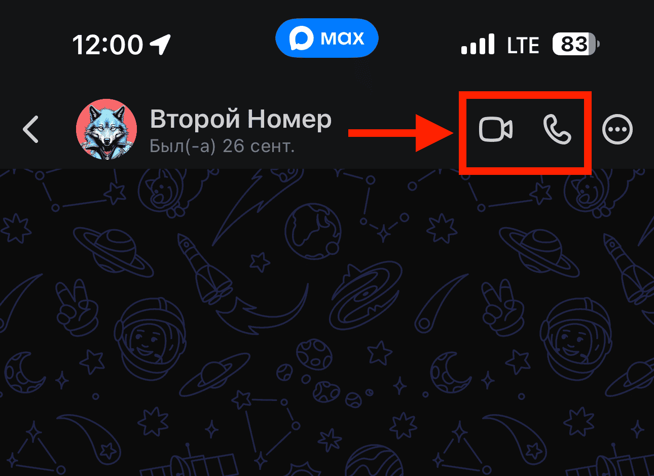 Звонки в мессенджере Макс. Звонить можно только голосом или по видео. Фото.