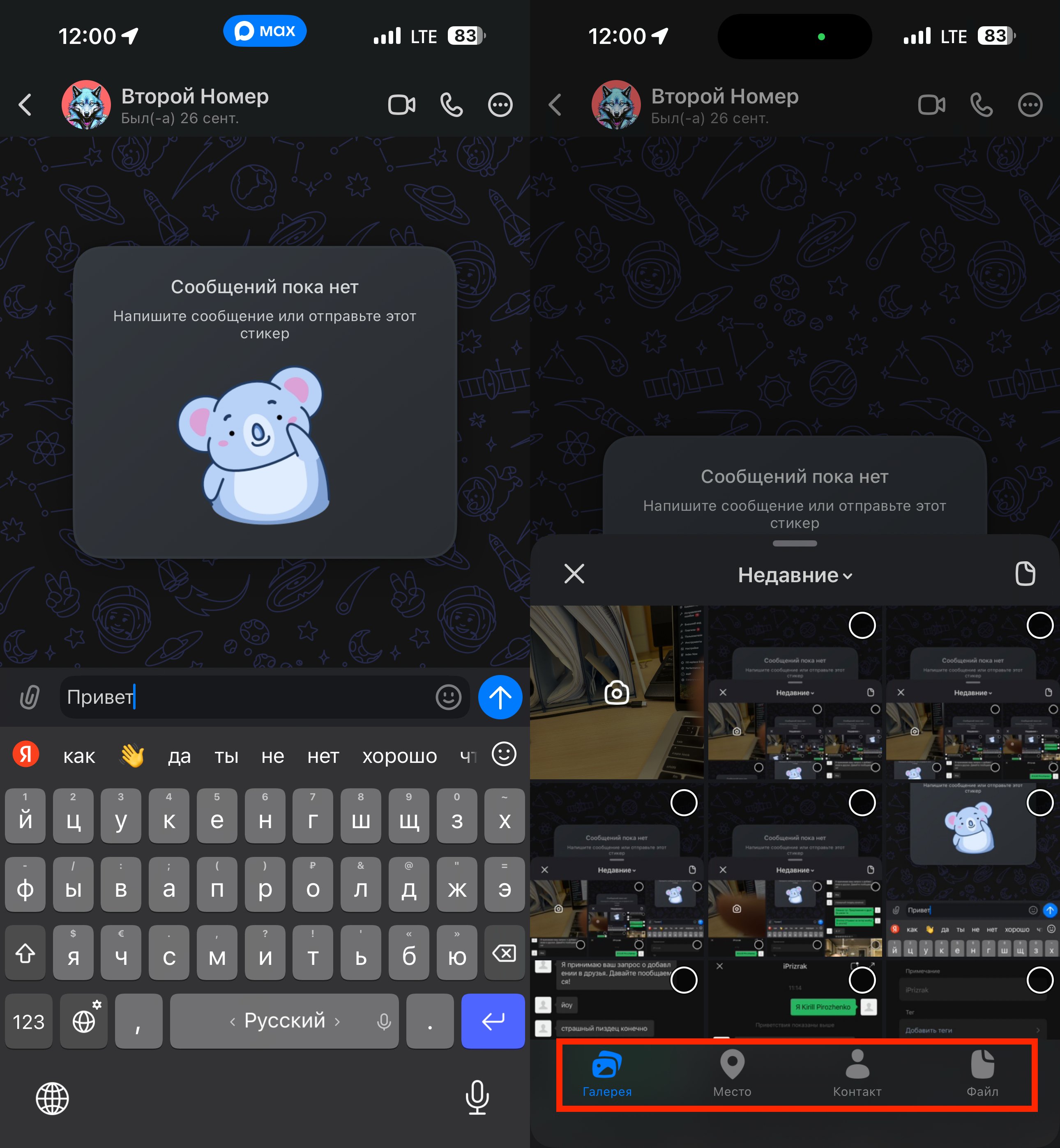 Как писать сообщения в Максе. Отправка текста и файлов ничем не отличается от других мессенджеров. Фото.