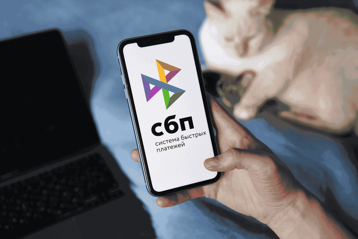Как перевести деньги по СБП без номера телефона