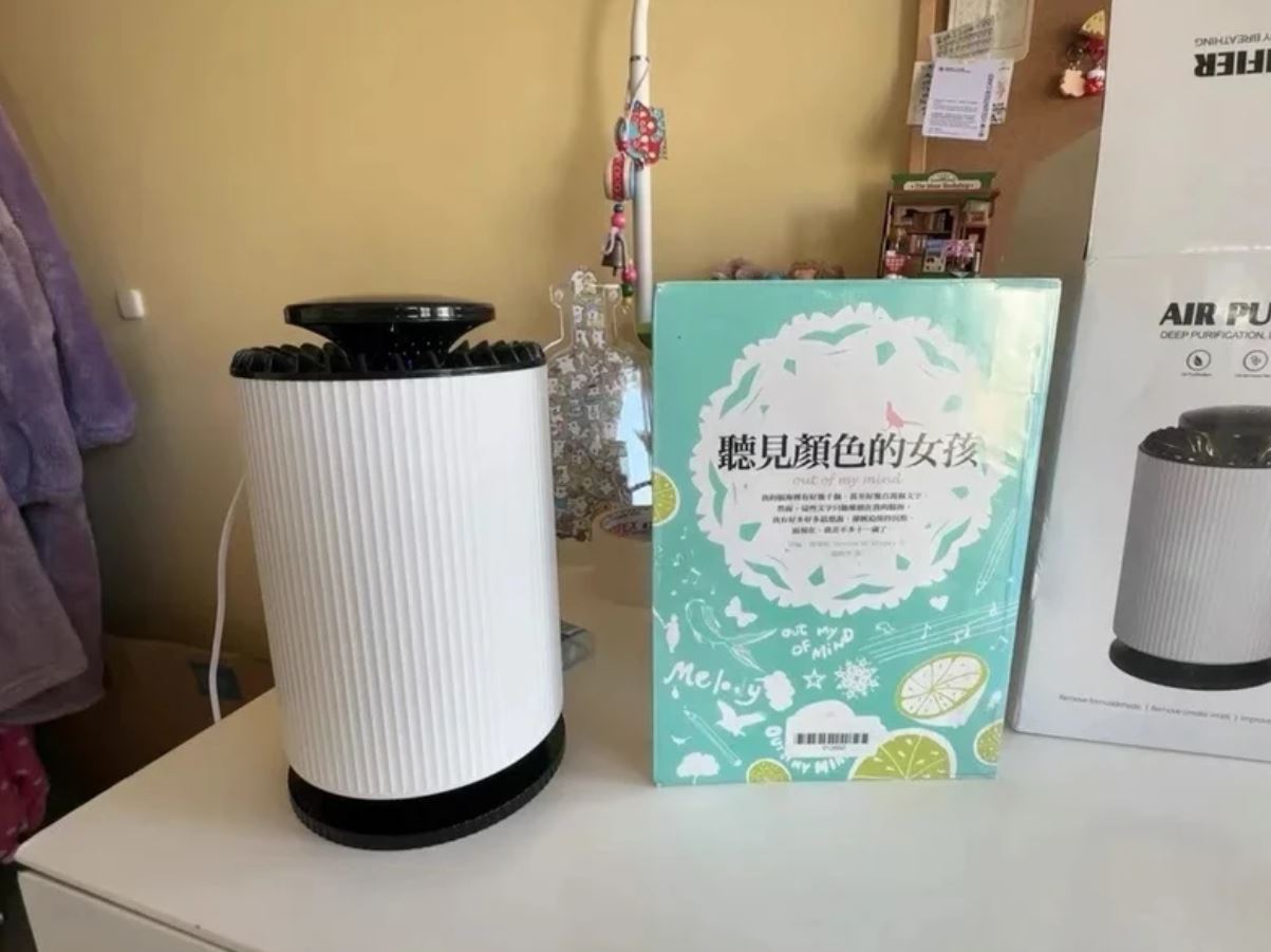 Домашний очиститель воздуха. От пыли и неприятных запахов избавиться очень легко. Фото.