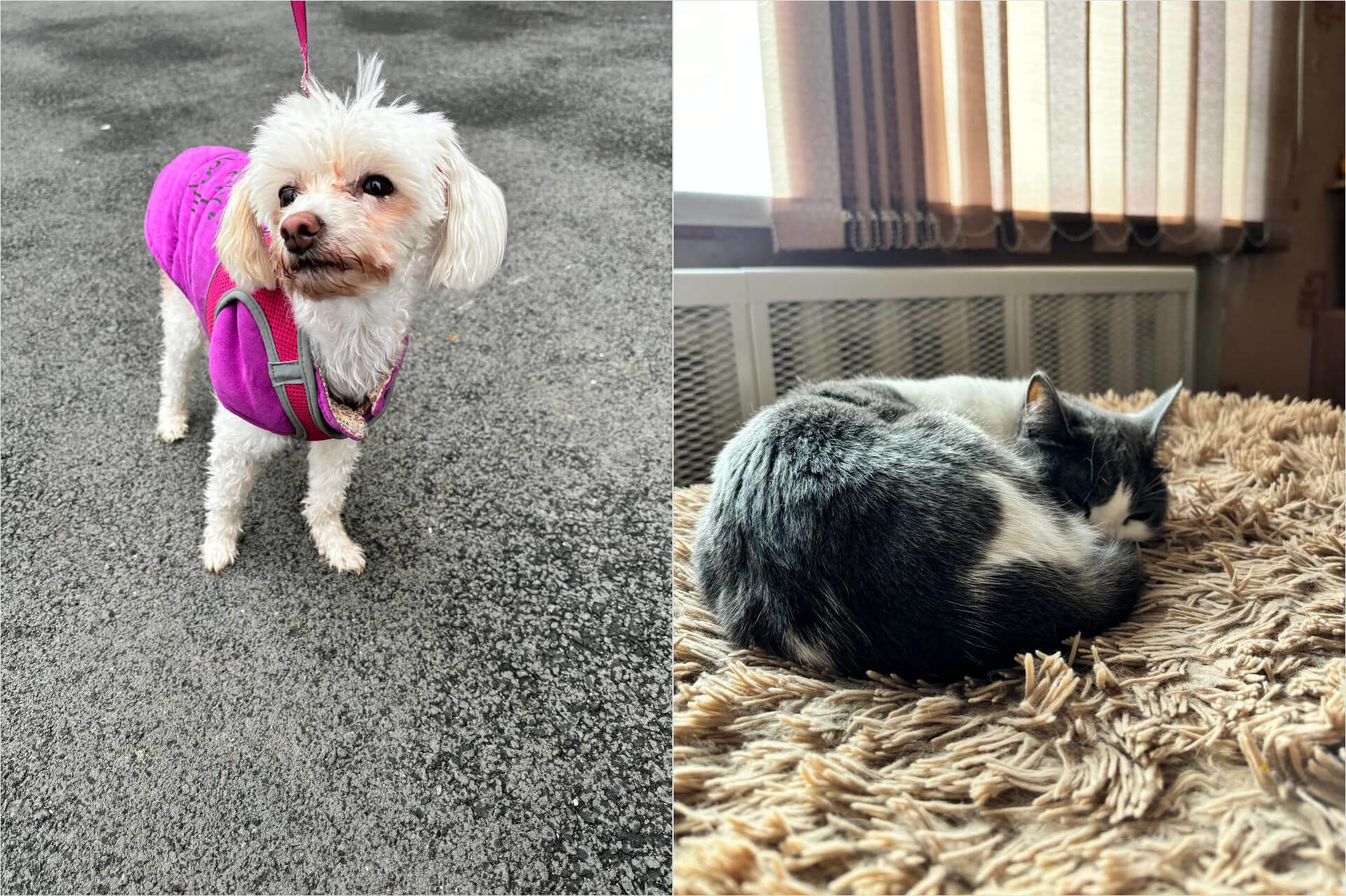 Какая камера у Айфон 15. Четко, красиво, насыщенно. Фото.