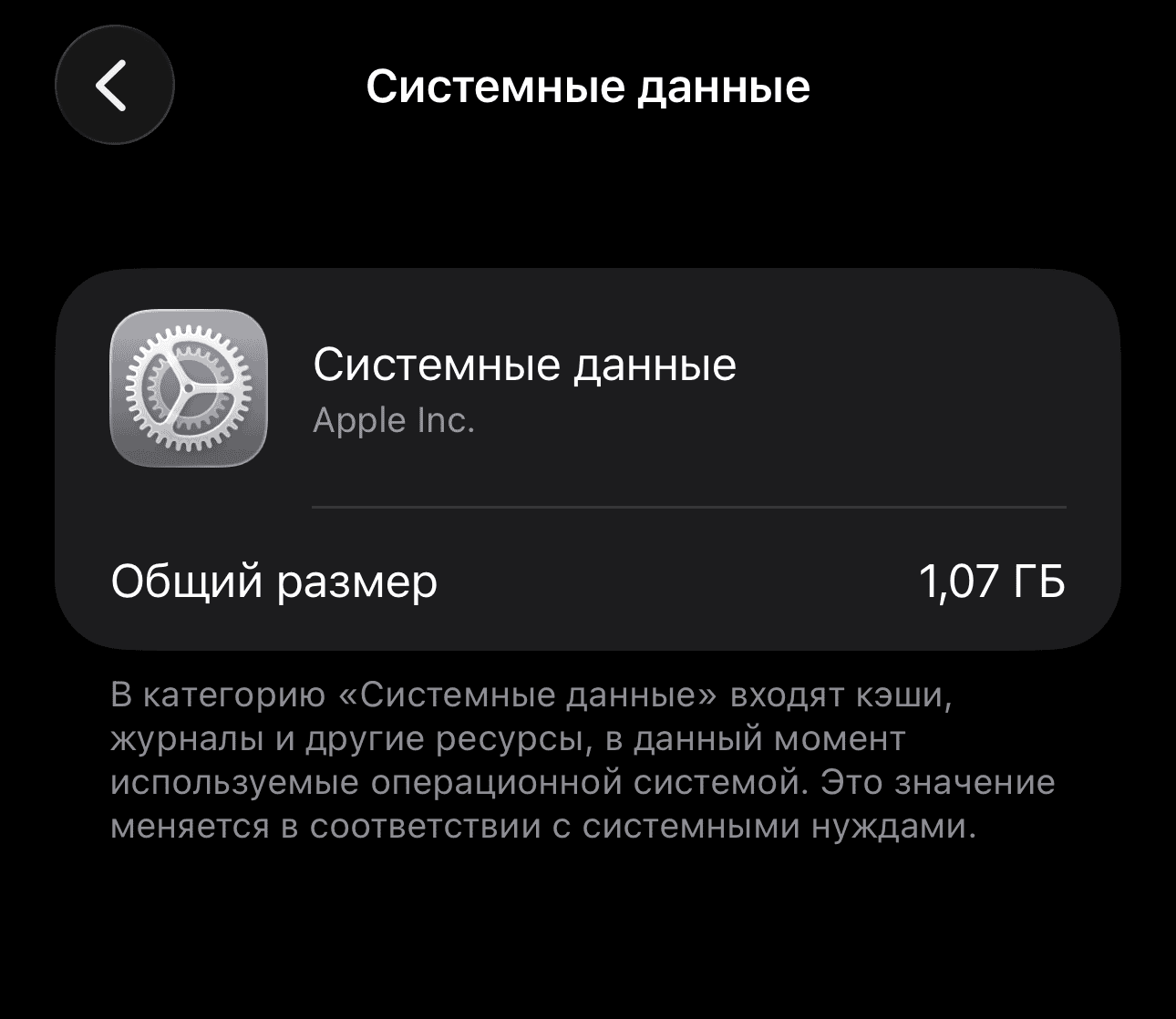 Почему удаление приложений не освобождает память на iPhone. Мне удалось уменьшить системные данные с 2,5 до 1,07 ГБ за счет перезагрузки. Фото.