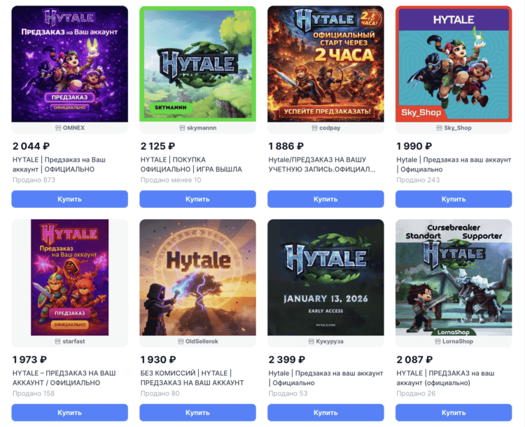 Как купить Hytale в России. Выбираем продавца с положительными отзывами и покупаем. Фото.