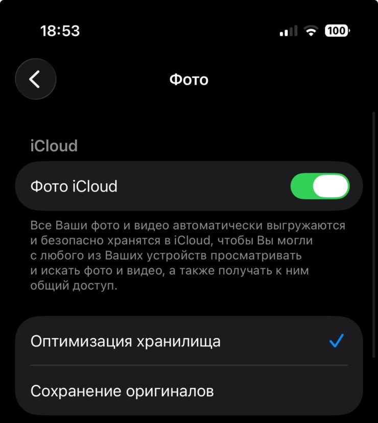 Как сэкономить место с помощью iCloud. Ставим первую галочку, а затем «Оптимизация хранилища». Фото.